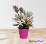 Ha ide kattintasz nagyobb lesz a kp